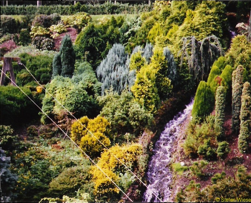 Niederlande-Netherland: Madurodam (Wald und Fluss)